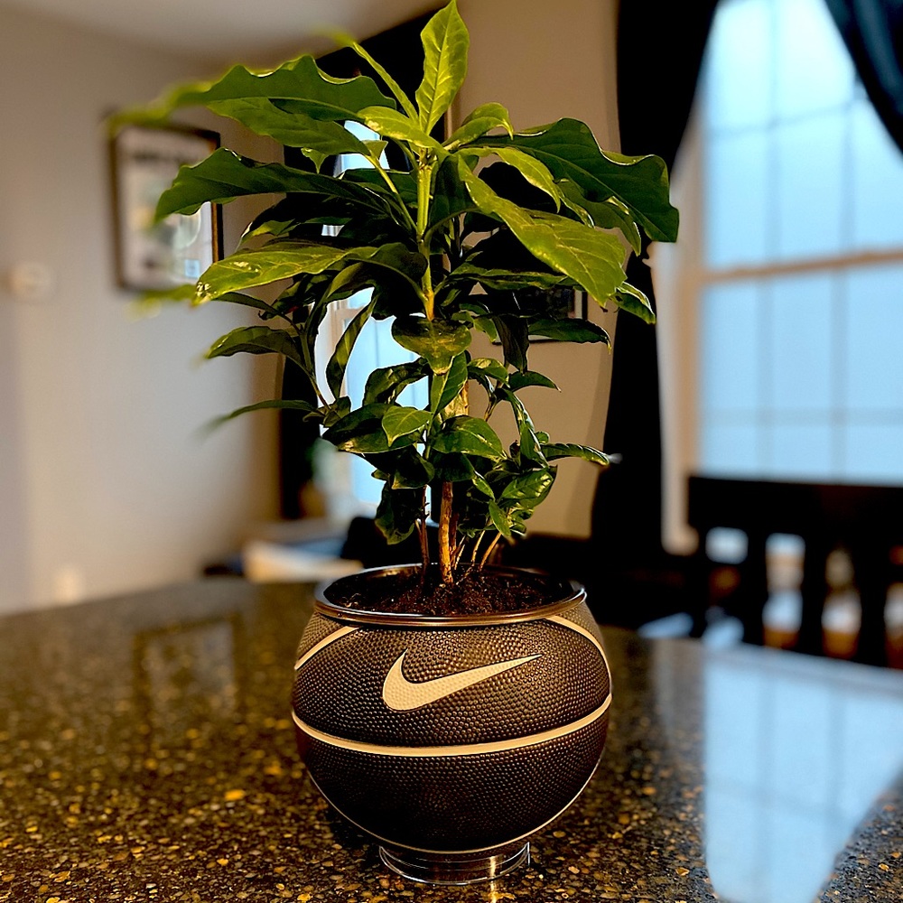 Basketball Planter